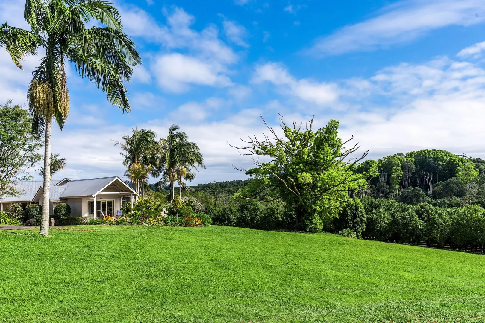 Additional image 9 of 271 Alcorn Road, Knockrow NSW 2479