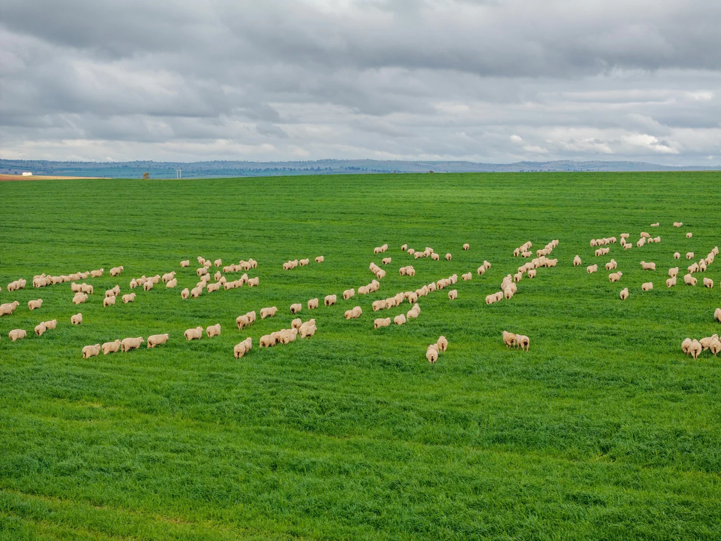 Additional image 9 of 79 Goldfields Way Old Junee Via, Wagga Wagga NSW 2650