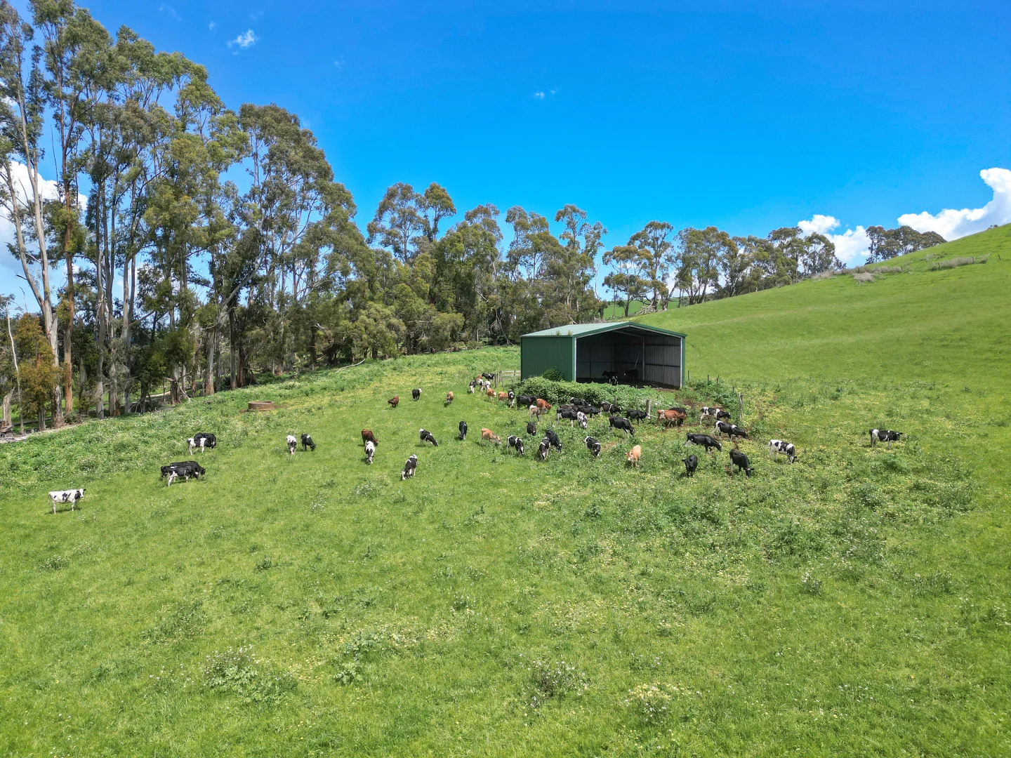 Additional image 6 of 581 Limonite Road, Boolarra VIC 3870