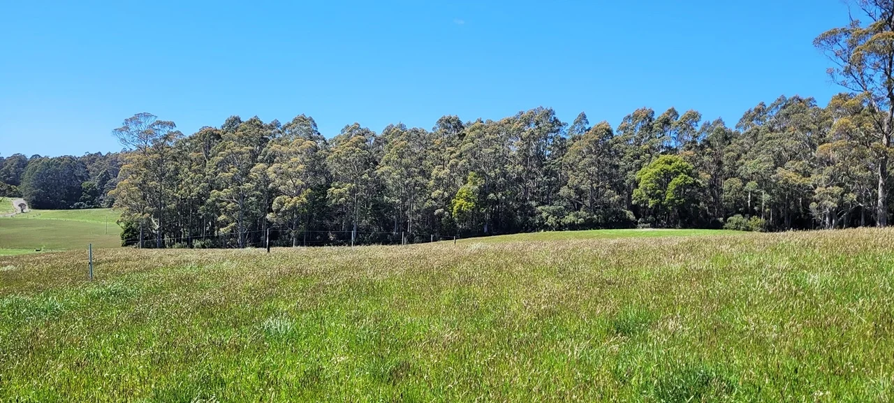 Additional image 32 of 174 Fabers Road, Riana TAS 7316