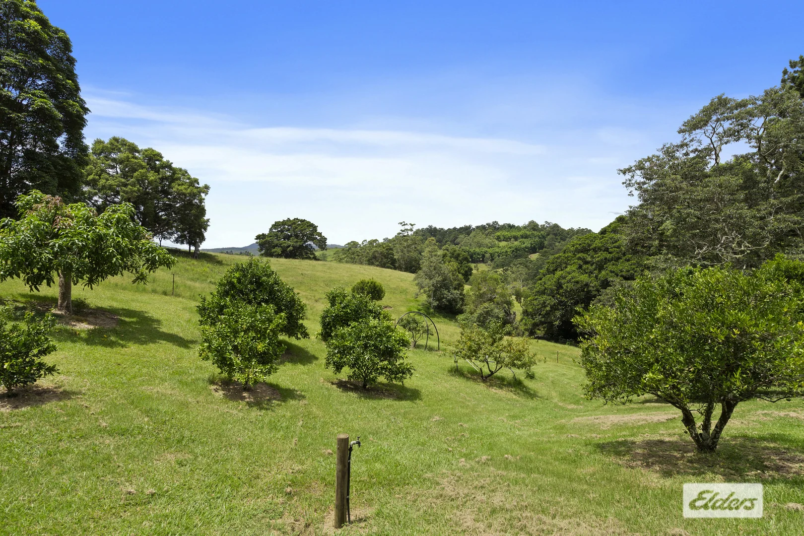 Additional image 23 of 354 Kunghur Creek Road, Kunghur Creek NSW 2484