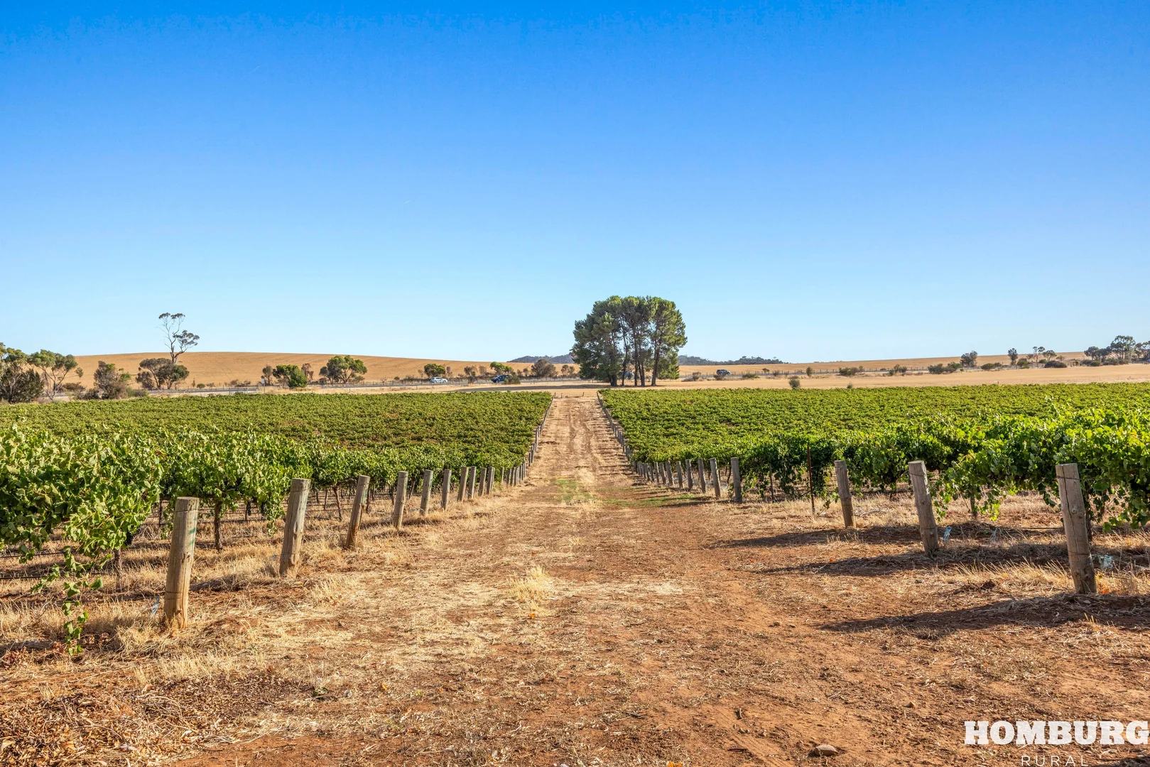 Additional image 23 of 43 Hempel Road, Daveyston SA 5355