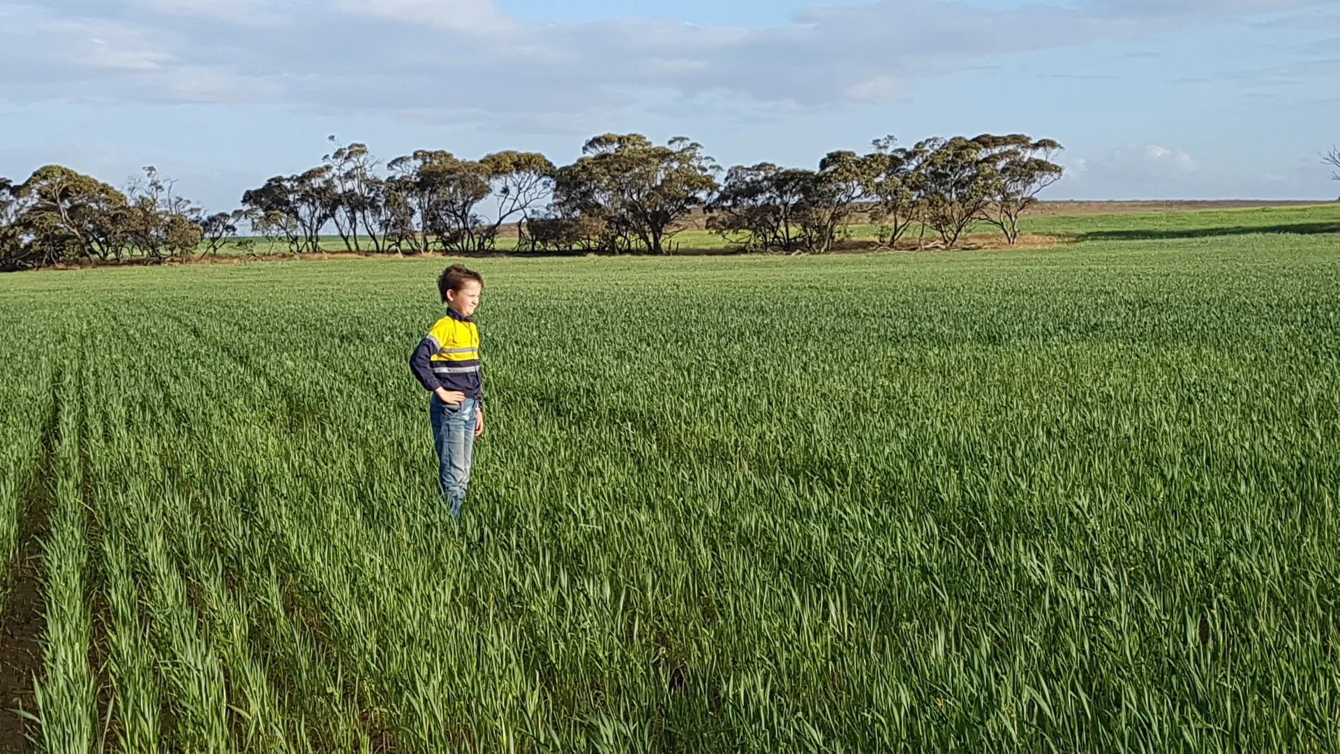 Additional image 3 of 2329 Parrakie North Road, Marama SA 5307