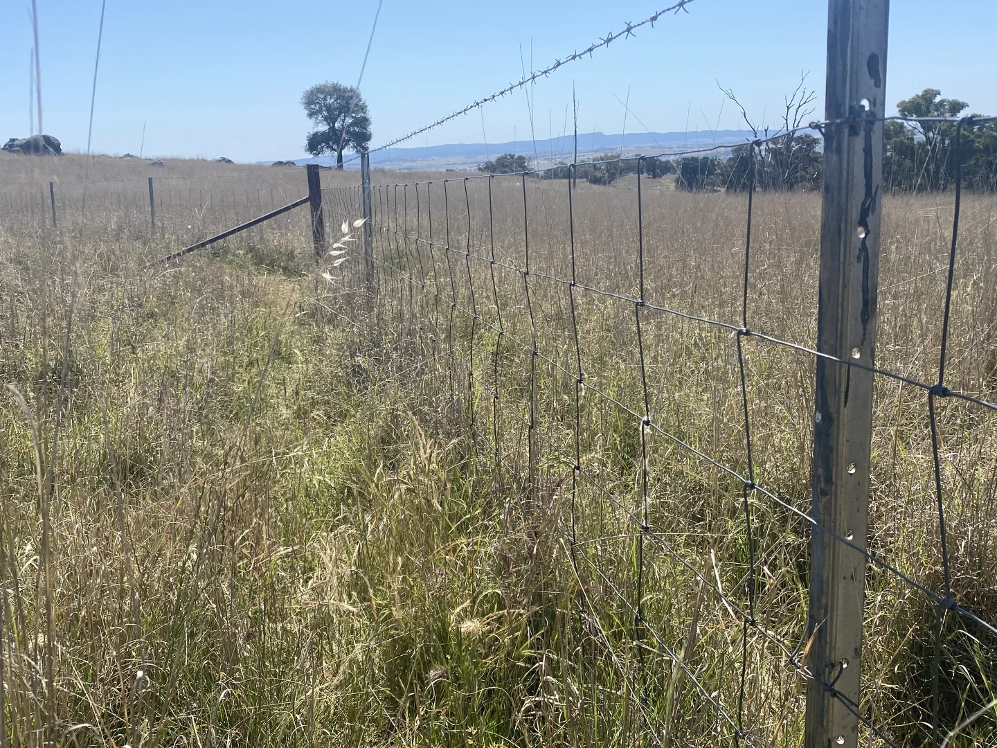 Additional image 26 of 250 Emu Creek Road, Canowindra NSW 2804