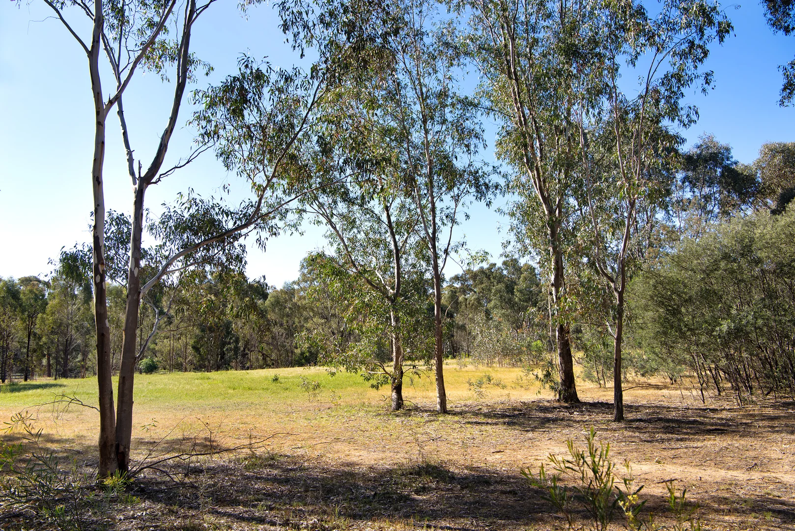 Additional image 5 of 686 Maldon-Newstead Road, Welshmans Reef VIC 3462