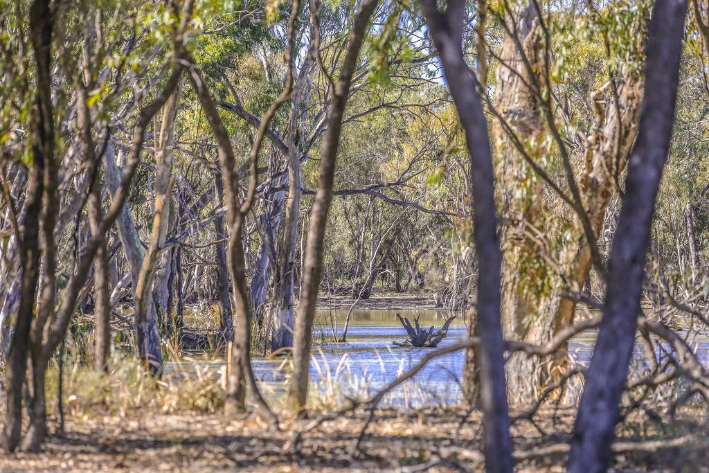 Additional image 25 of 'Wetuppa' 245 Fisher Lane, Wetuppa NSW 2734