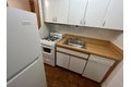 Additional image 30 of 2738 N Pine Grove Ave, Chicago, IL, 60614