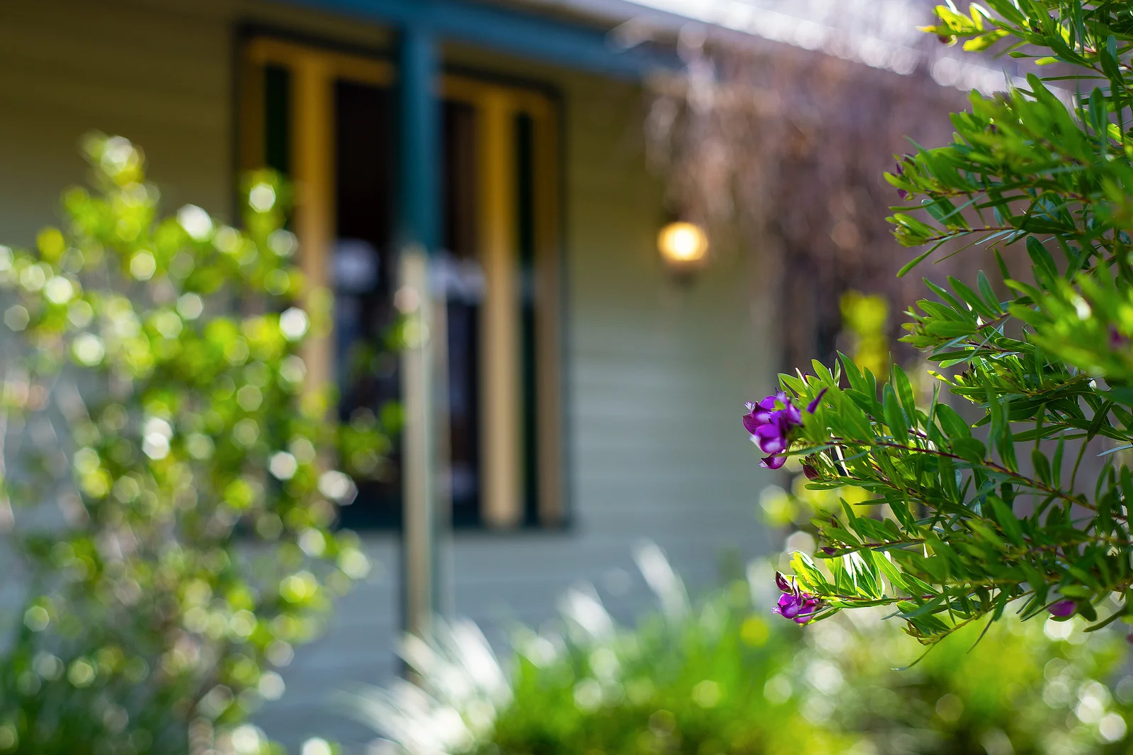 Additional image 13 of 207 Desailly Street, Sale VIC 3850