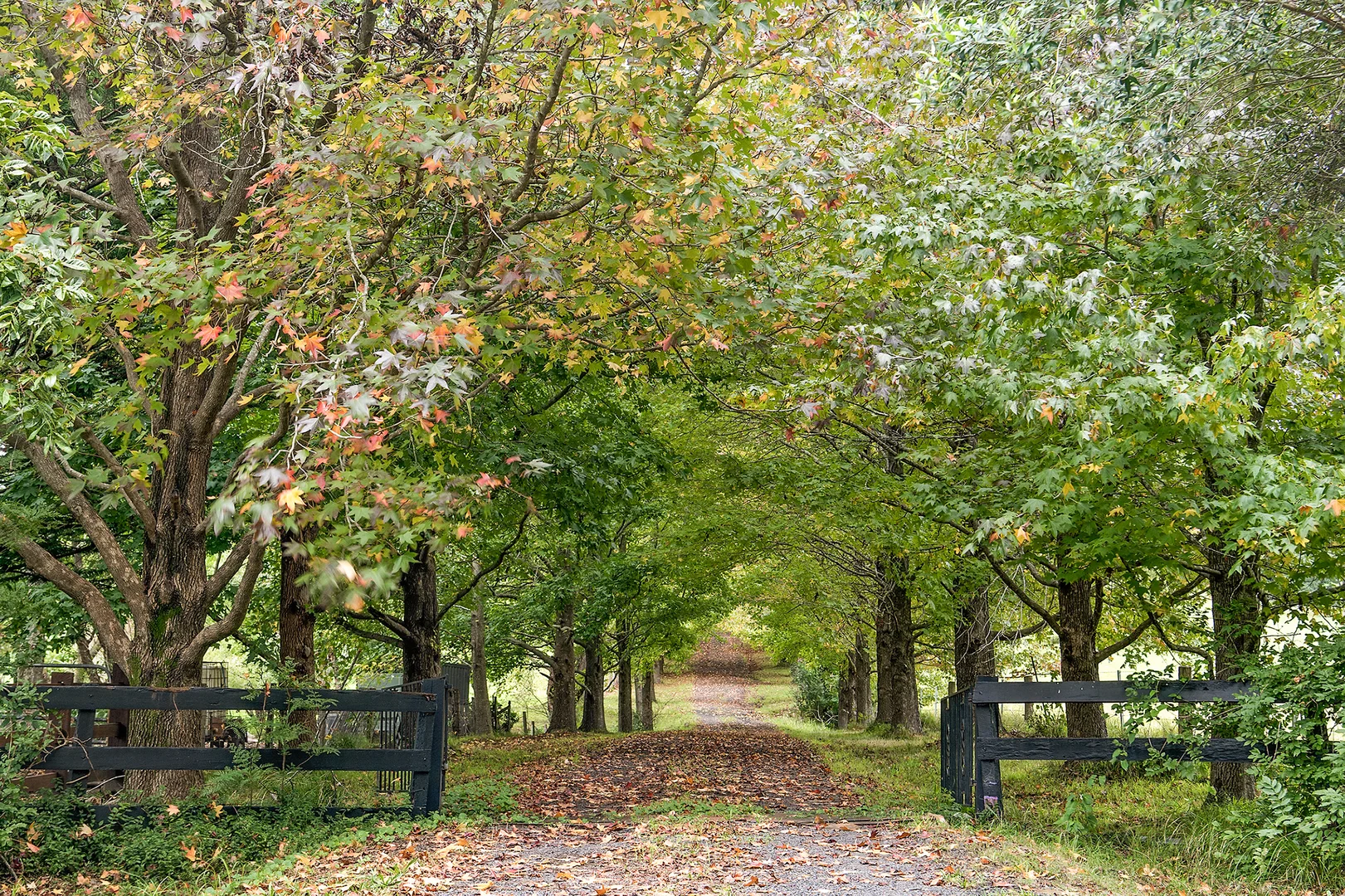 Additional image 34 of 195 Devitts Lane, Meroo Meadow NSW 2540