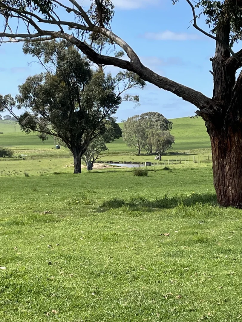 Additional image 13 of 138 McConachys Road, Henty VIC 3312