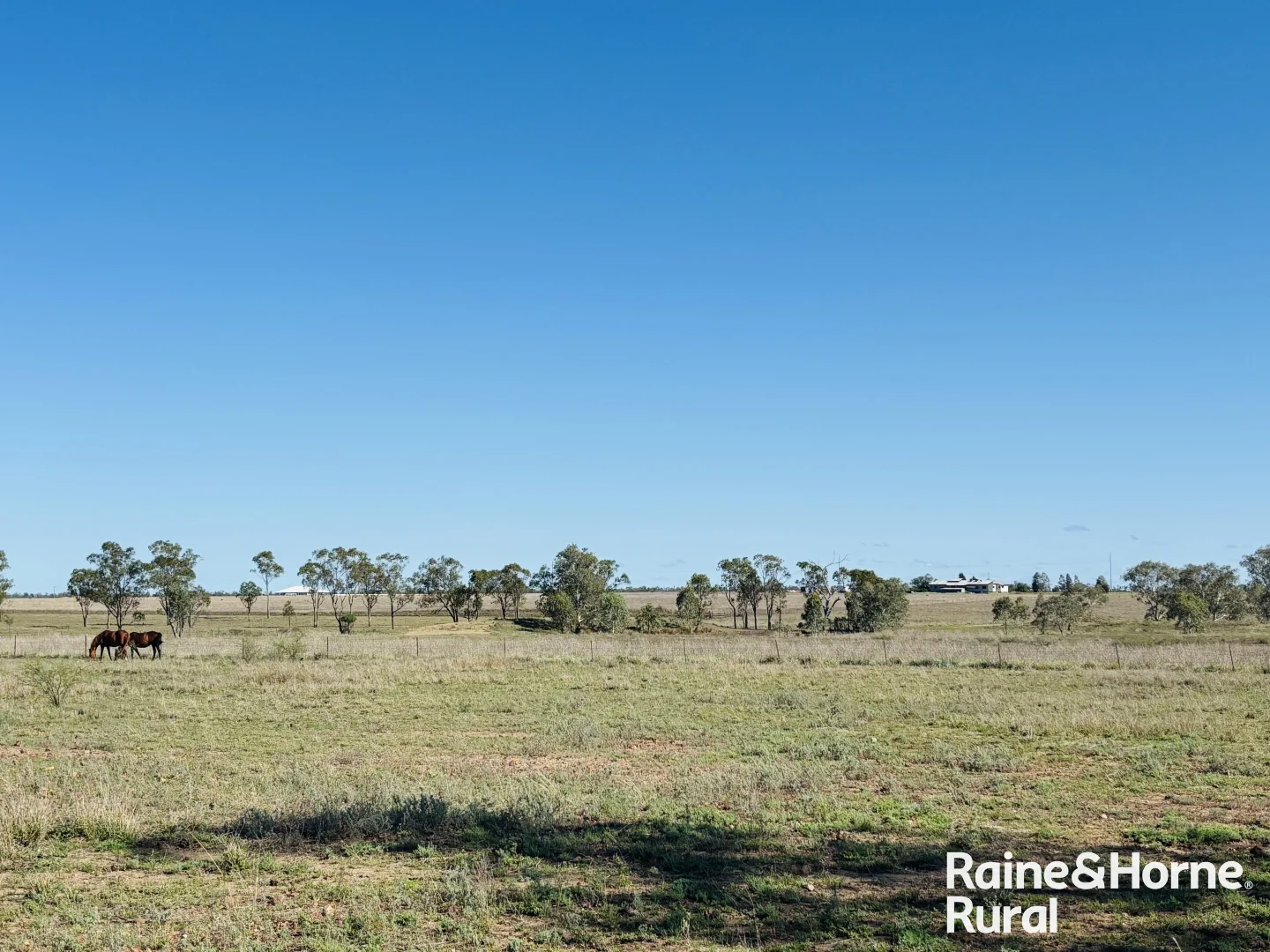 Additional image 19 of 260 Geoghegan Road, Roma QLD 4455