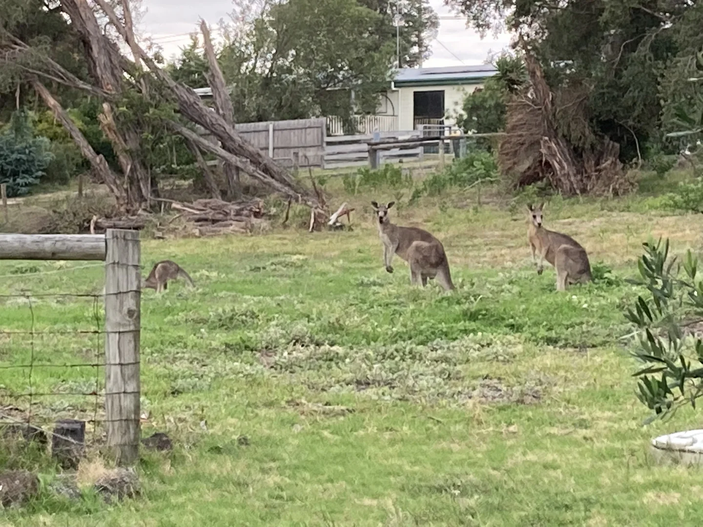 Additional image 23 of 14 Marina Drive, Loch Sport VIC 3851