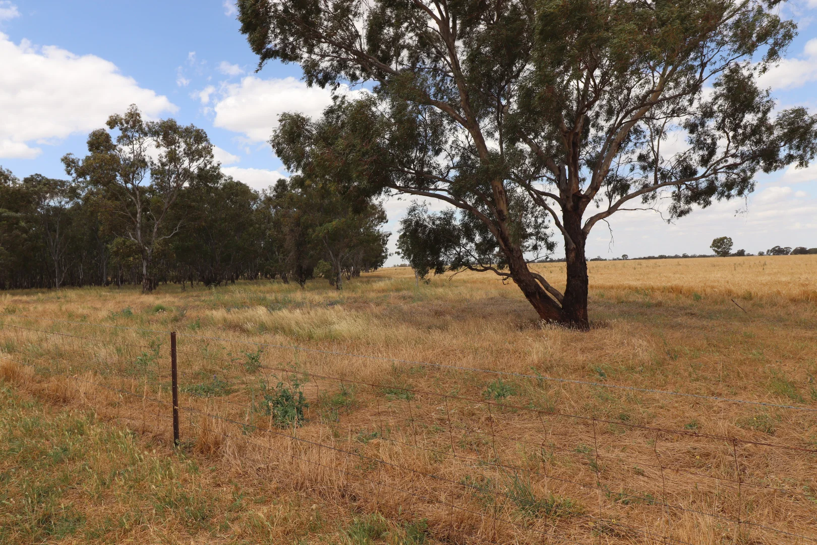 Additional image 11 of 'East Gathan' 509 Gathan Road, Deniliquin NSW 2710