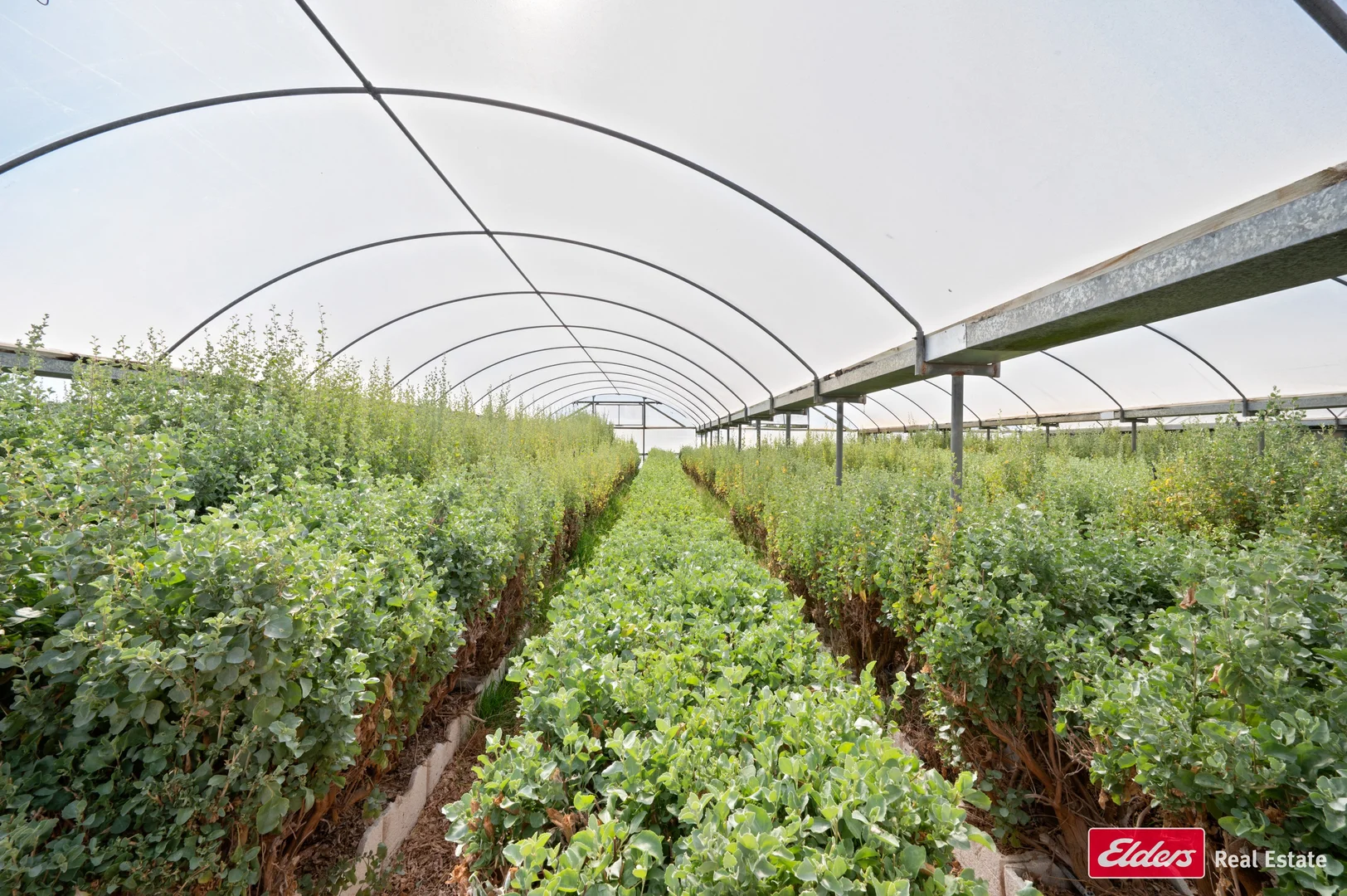 Additional image 6 of 21357 Princes Highway, Kingston Se SA 5275