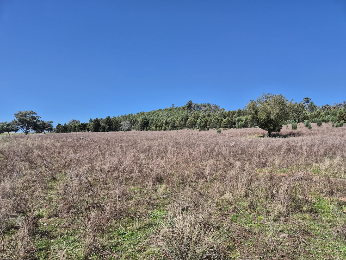 Additional image 12 of 46 Worlds End Rd, Yarrabin NSW 2850