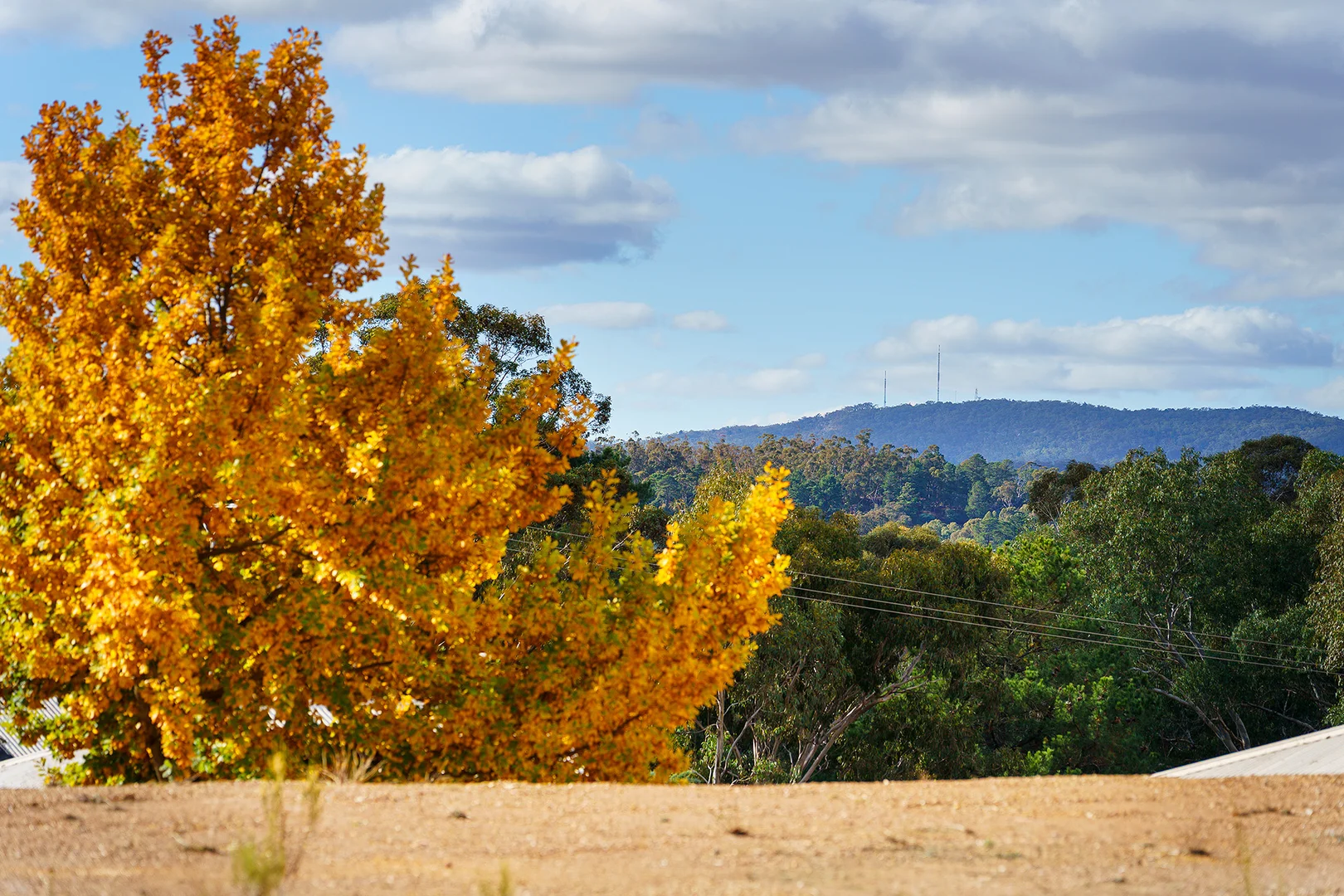Additional image 5 of 1-5/26A Wilkie Street, Castlemaine VIC 3450