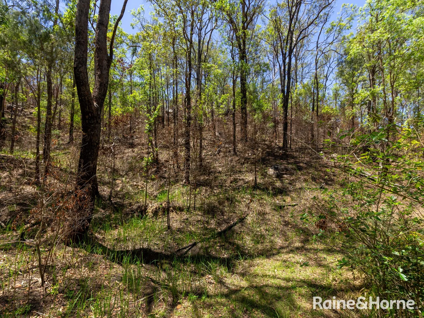 Additional image 15 of 37 Habbermans Road, Gaeta QLD 4671
