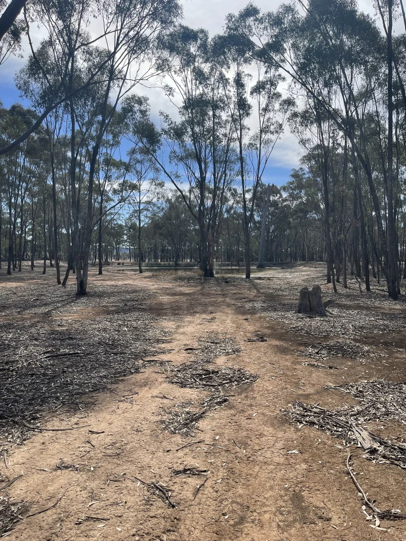 Additional image 30 of Misery Road, Beazleys Bridge VIC 3477