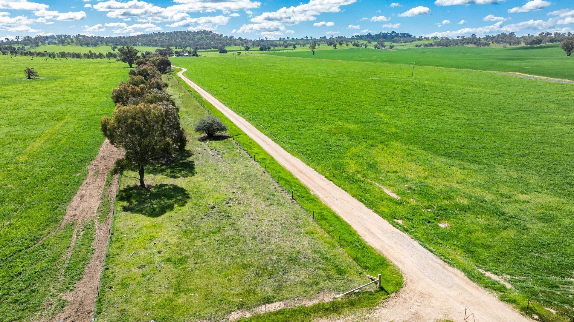 Additional image 6 of 413 Reynella Road, Walbundrie NSW 2642