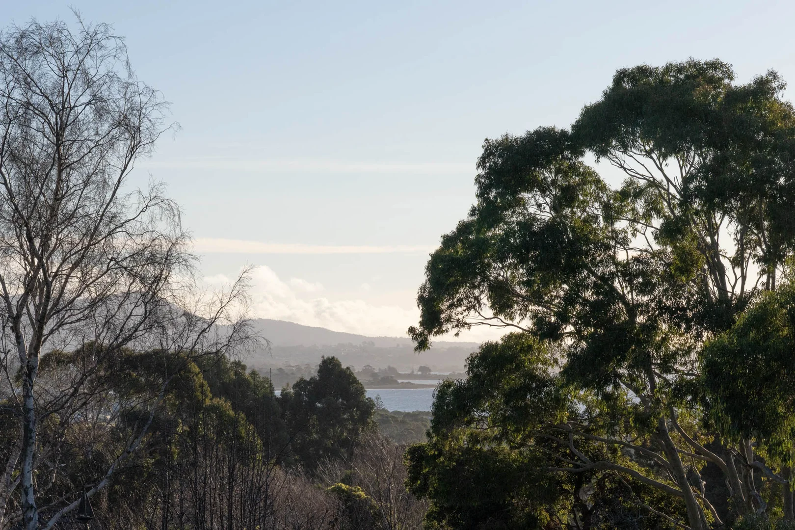 Additional image 10 of 18 Alexander Street, Leith TAS 7315