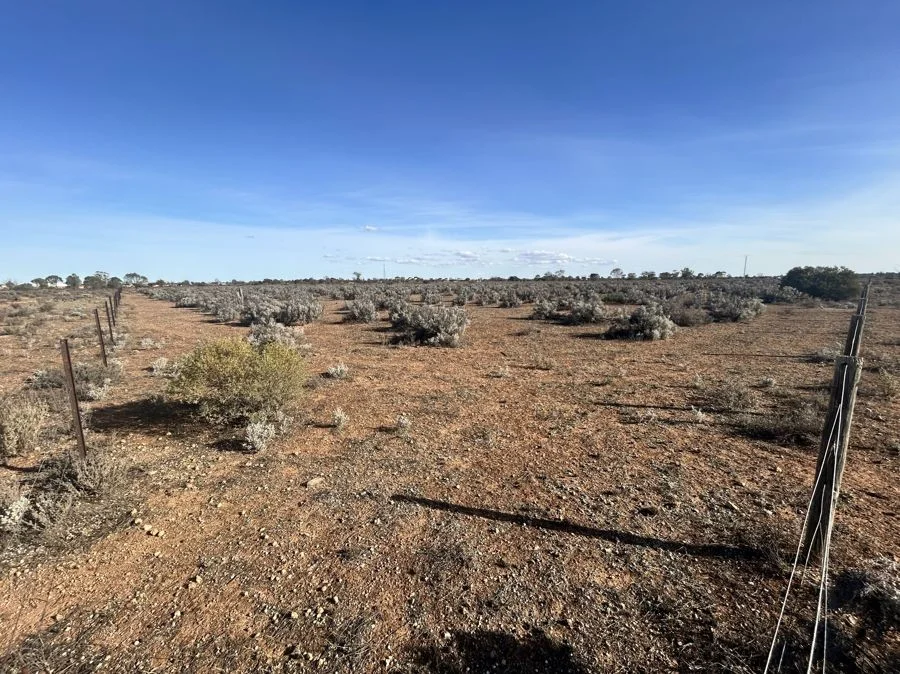 Additional image 2 of Section 65 Goyder Highway, Morgan SA 5320