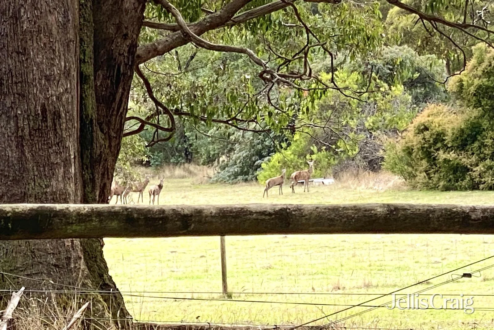 Additional image 15 of 85 Lightwood Drive, Wheatsheaf VIC 3461