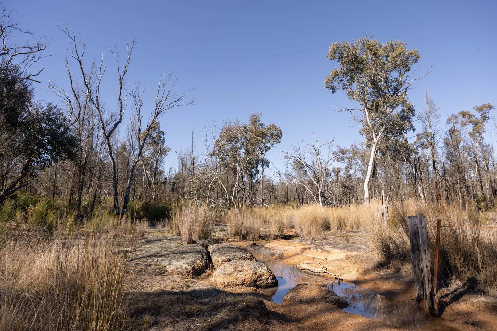 Additional image 2 of 250 Springwood Park Road, Gulgong NSW 2852