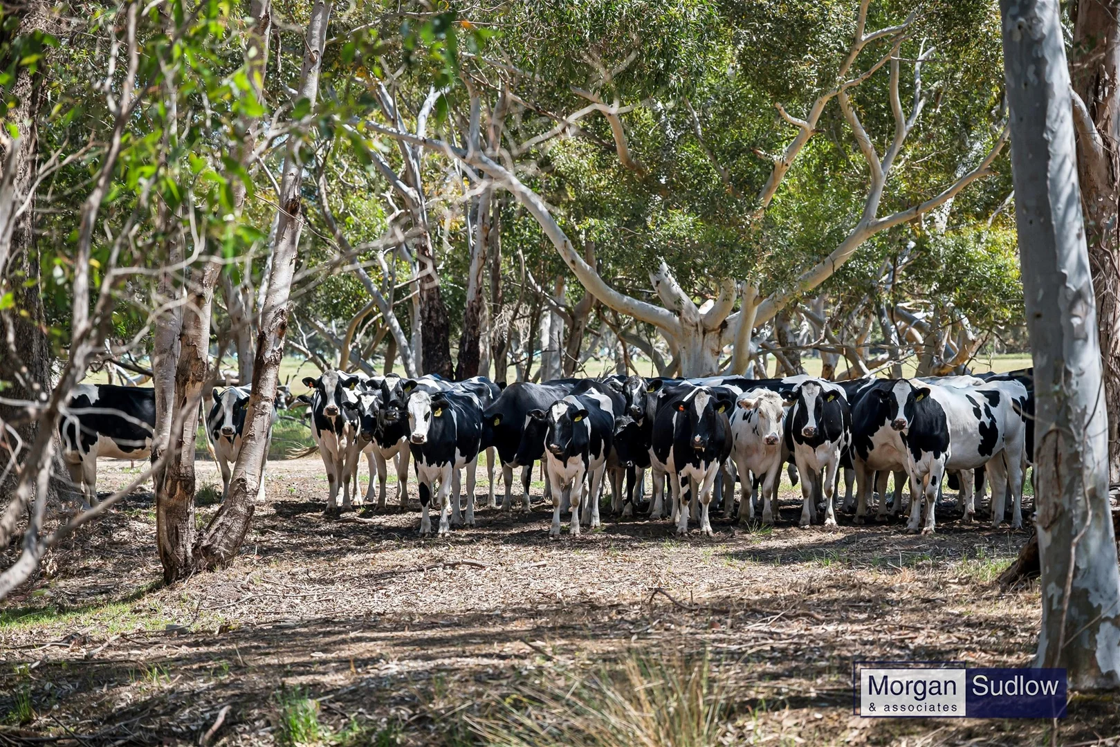 Additional image 21 of 2950 South Western Highway, Serpentine WA 6125