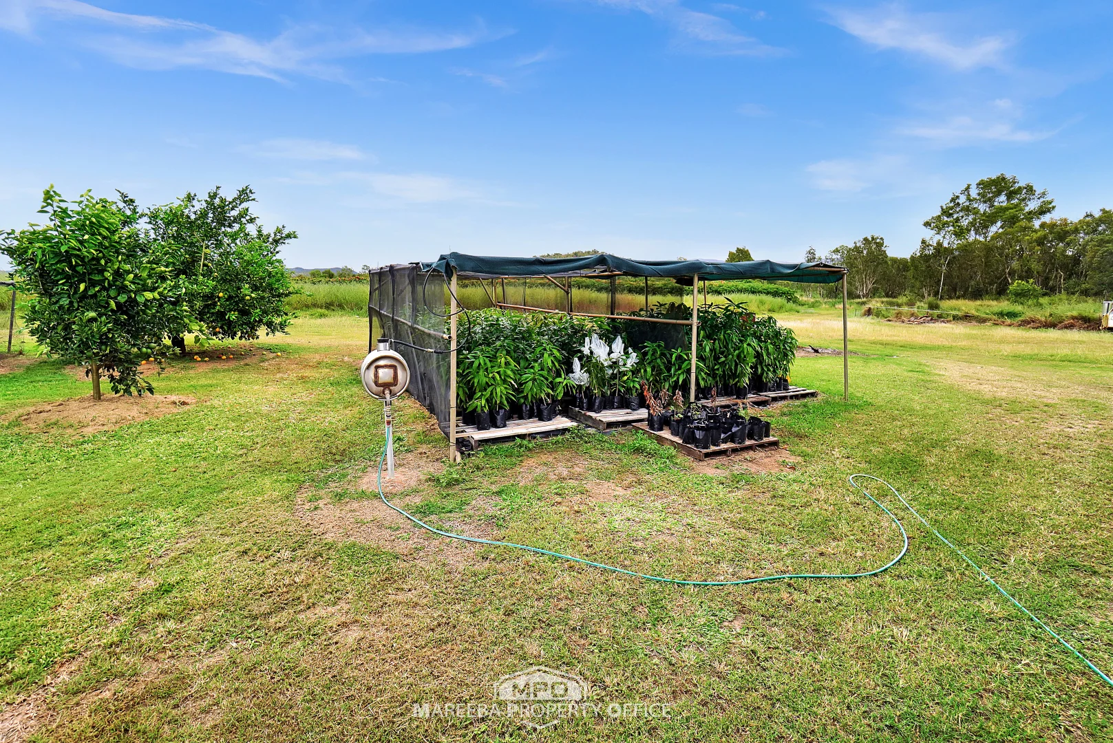 Additional image 21 of 994 Leafgold Weir Road, Dimbulah QLD 4872