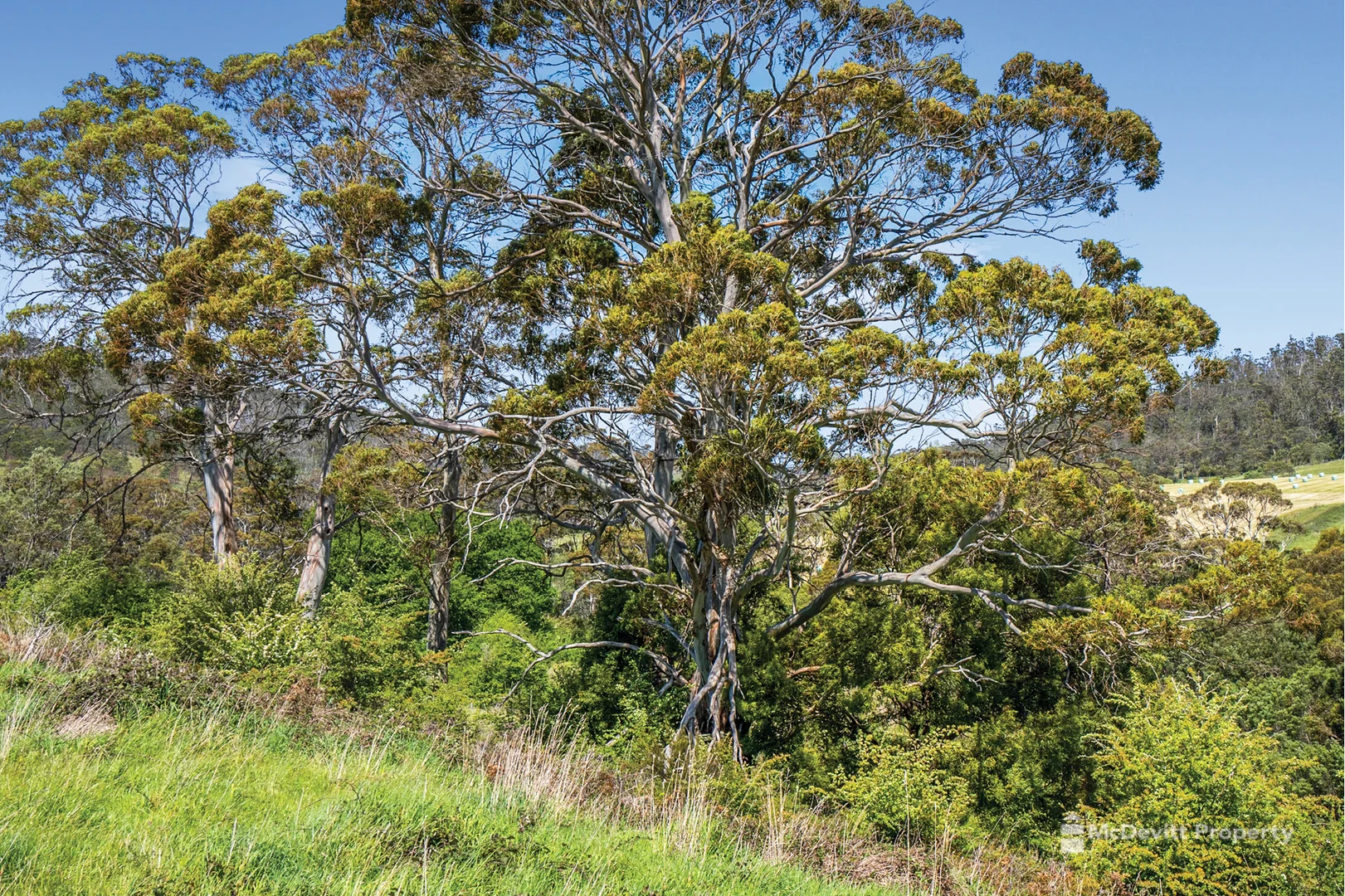 Additional image 9 of Lots 22-26/918 Nugent Rd, Wattle Hill TAS 7172