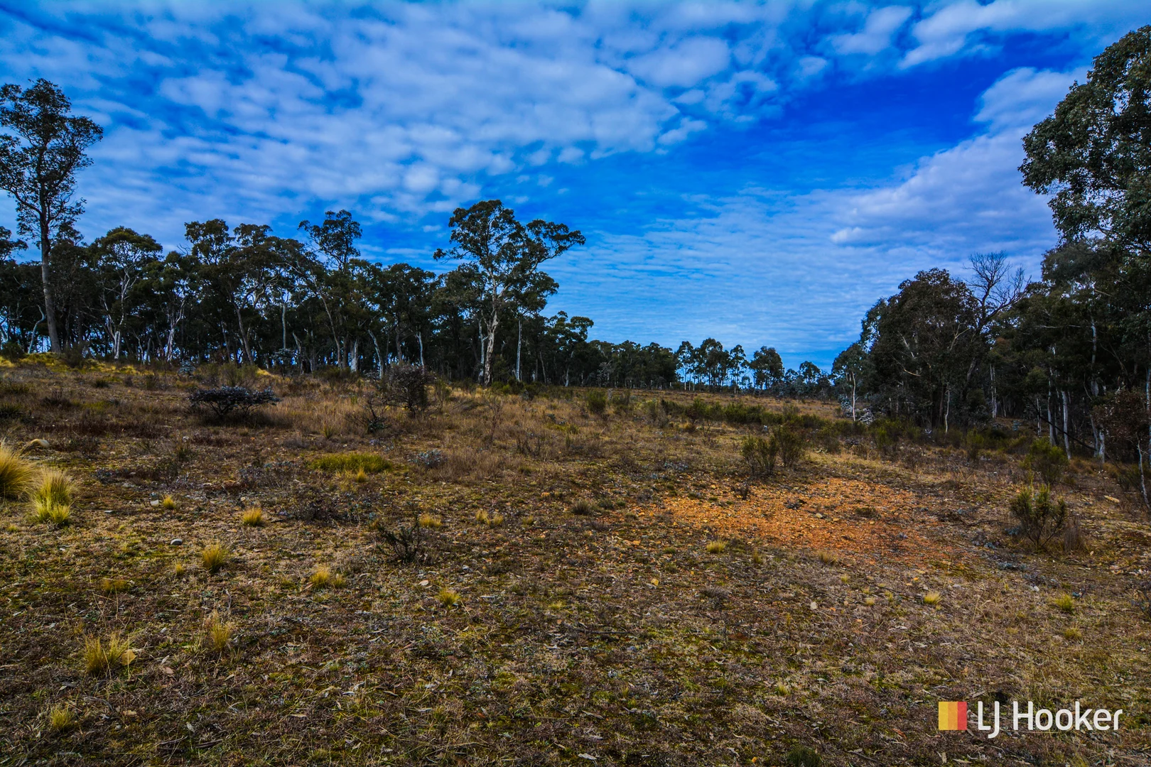 Additional image 18 of 308 Willow Vale Road, Wallerawang NSW 2845