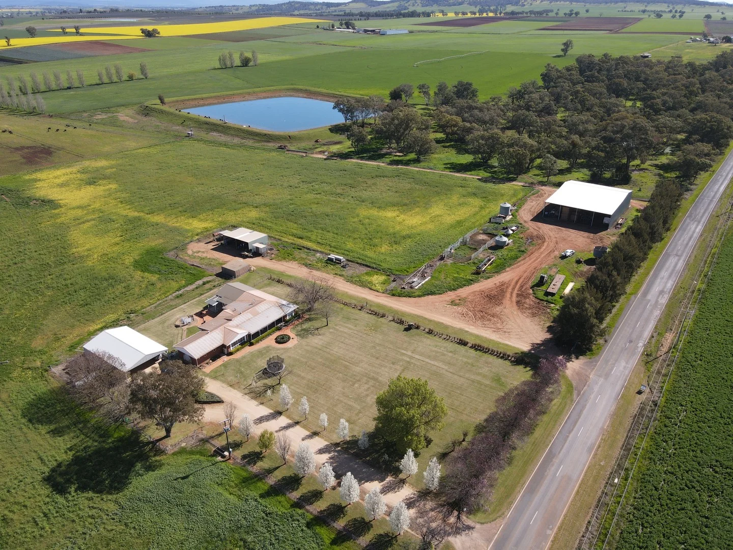 Additional image 12 of 349 Nangar Road, Canowindra NSW 2804