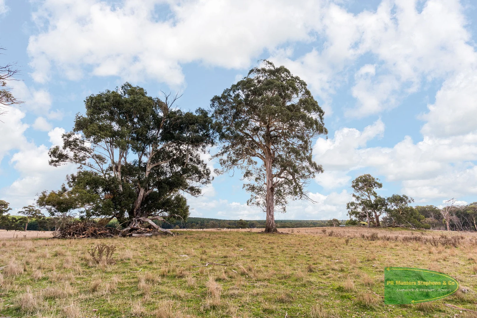 Additional image 55 of 800 Riverview Forest Road, Mozart NSW 2787