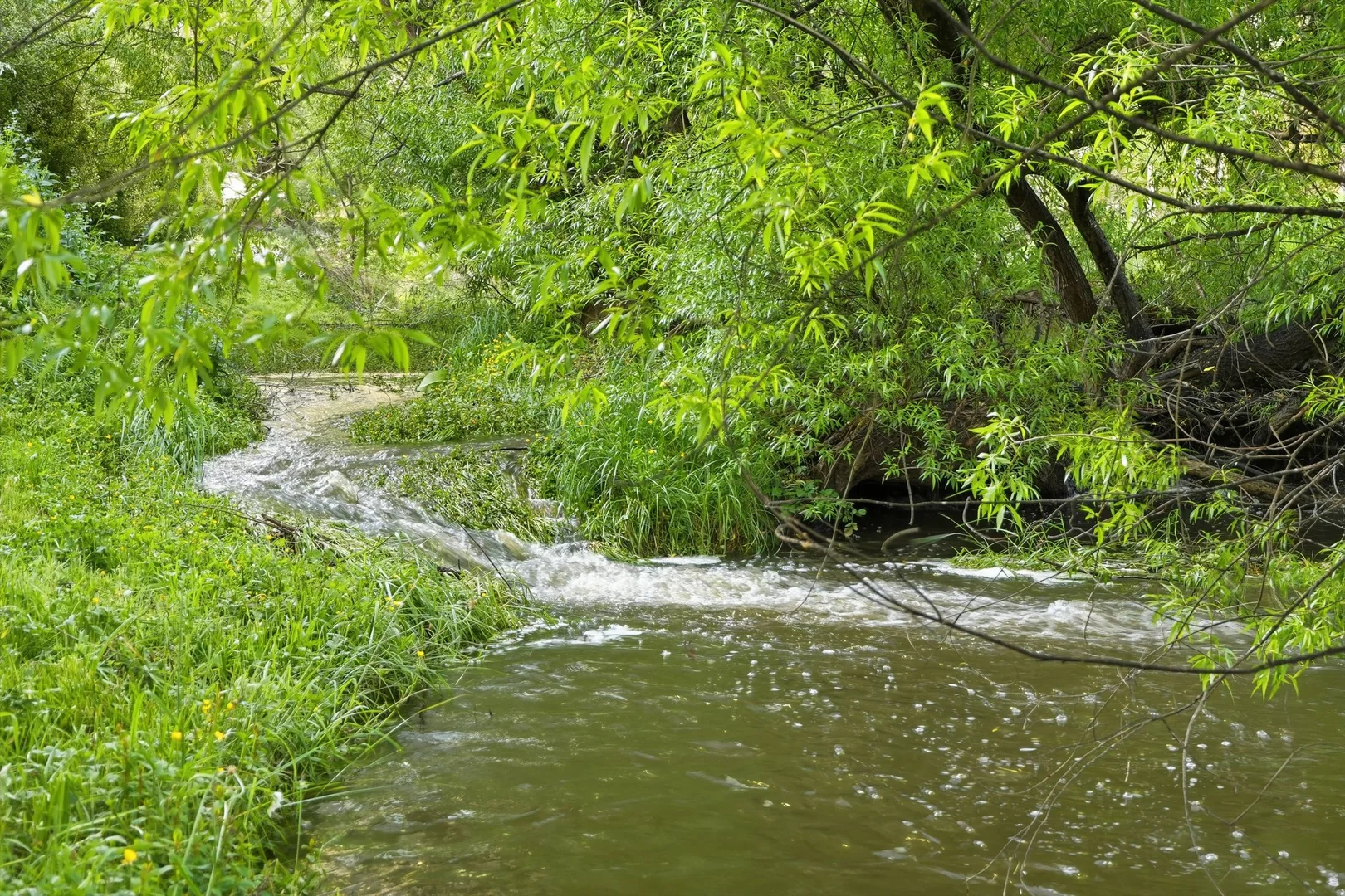 Additional image 28 of 160 Lucaston Road, Lucaston TAS 7109