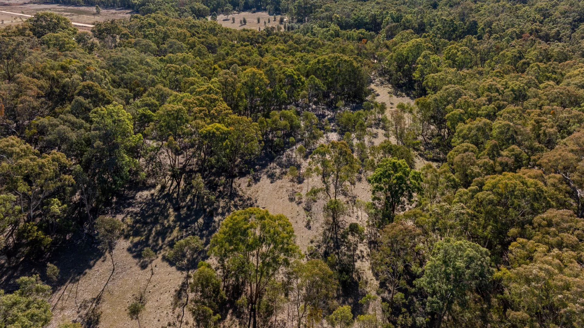 Additional image 2 of 318 White Cedars Road, Mudgee NSW 2850