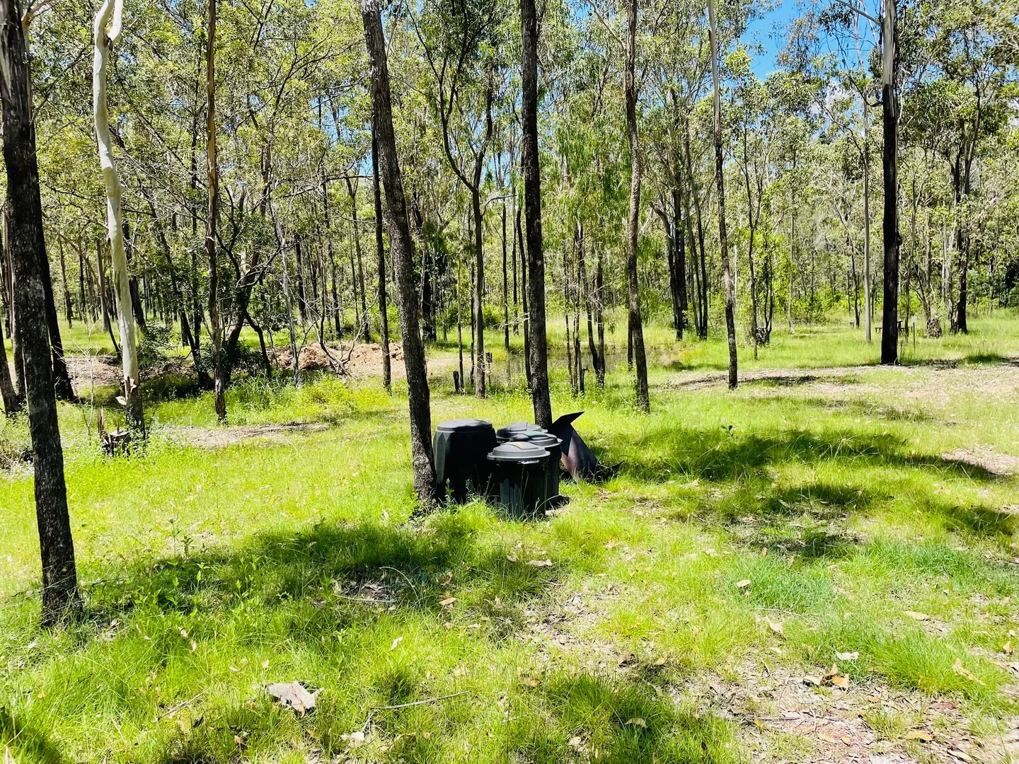 Additional image 6 of 264 Cooks Road, South Isis QLD 4660