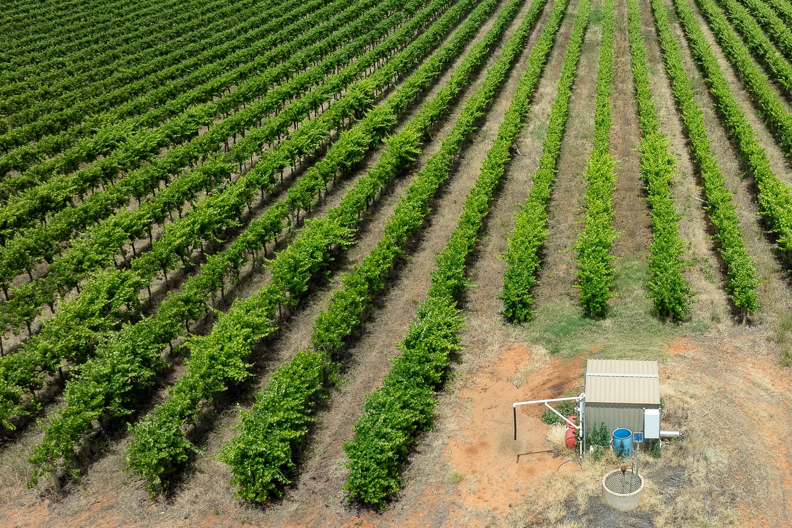 Additional image 7 of 1248 Hodges Road, Glossop SA 5344