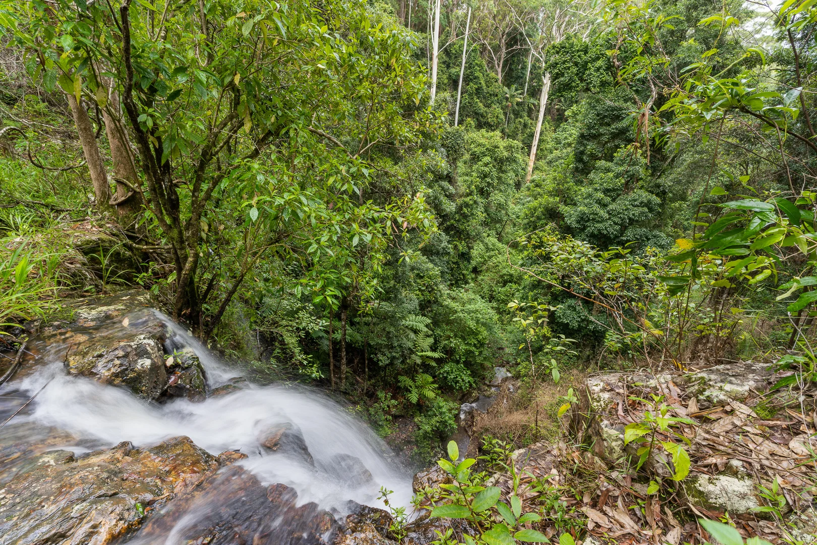 Additional image 35 of 76 Maso Road, Repentance Creek NSW 2480