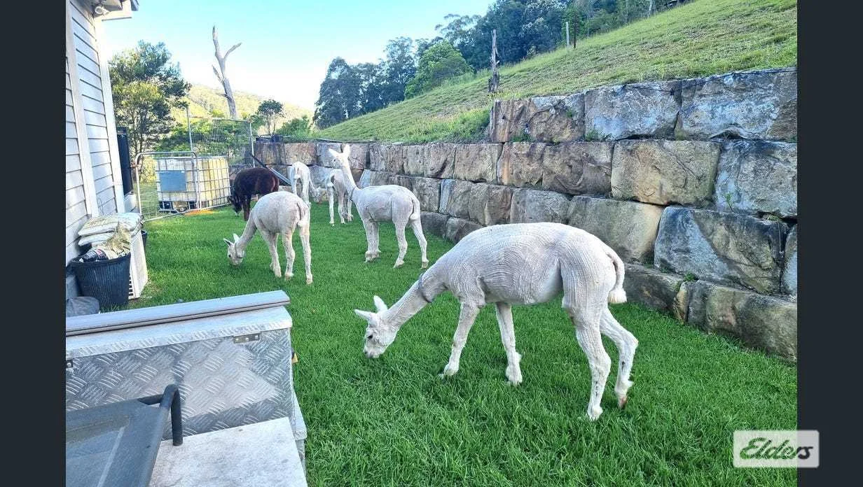 Additional image 28 of 3 Rose Hill Lane, Yarramalong NSW 2259