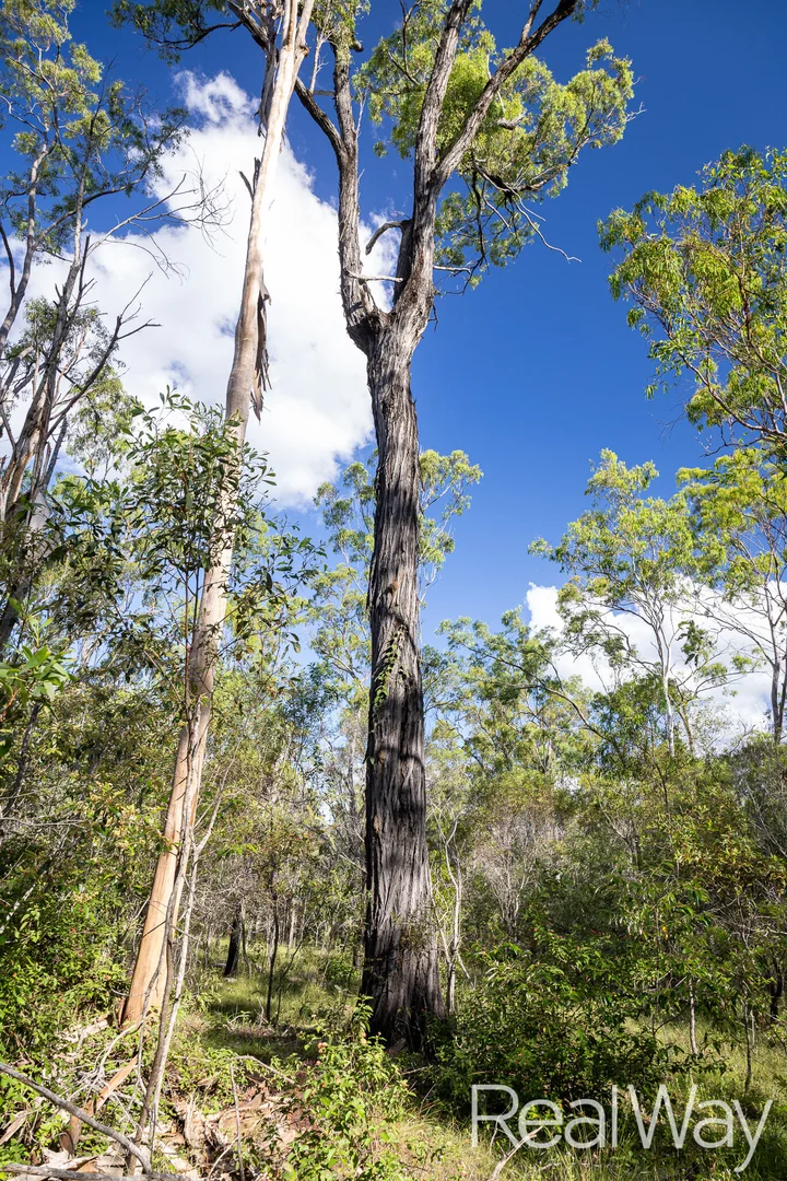 Additional image 13 of 2 Jacksons Road, South Isis QLD 4660