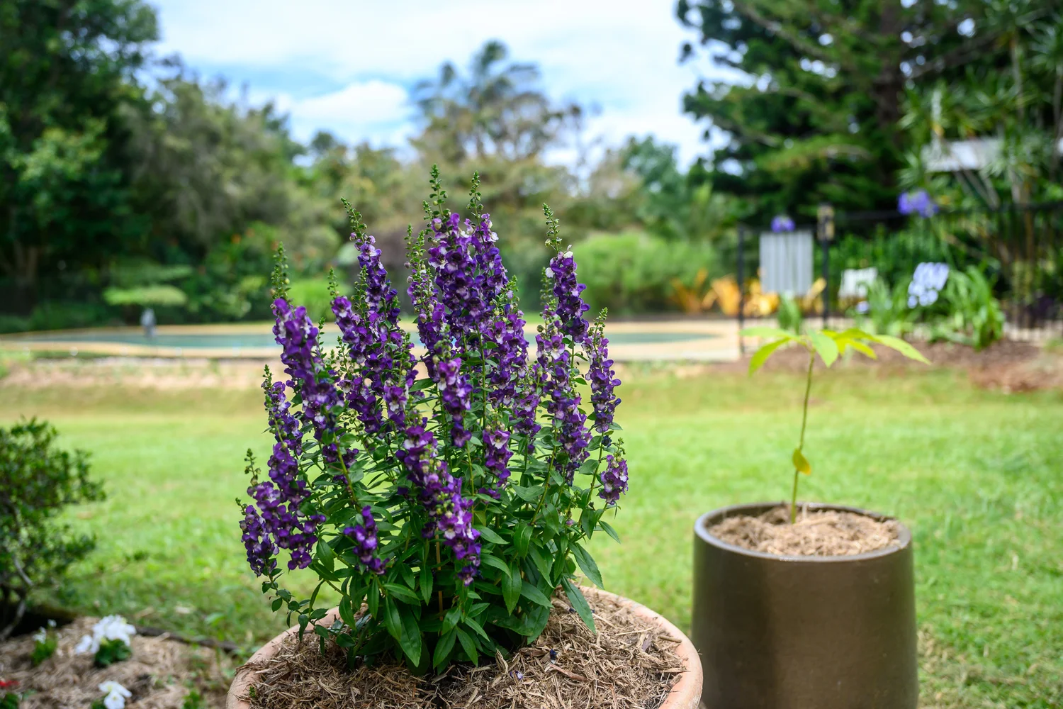 Additional image 44 of 86 Parmenters Road, Wilsons Creek NSW 2482