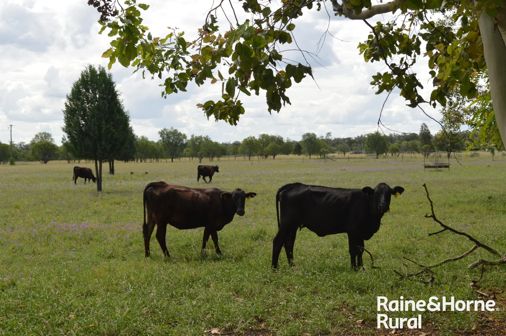 Additional image 16 of 189 Burtons Road, Orange Hill QLD 4455