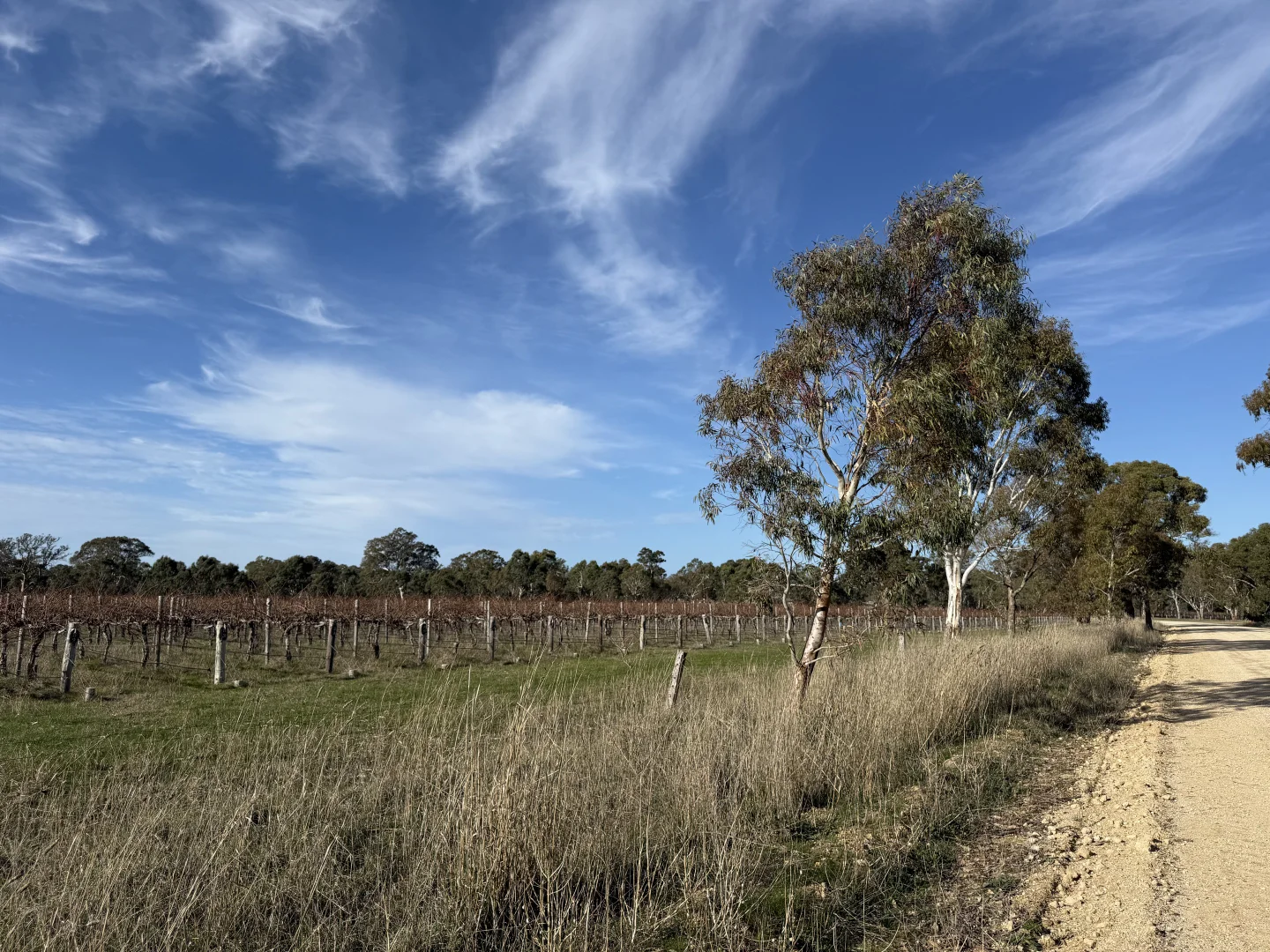 Additional image 5 of Lot 107 Shepherds Lane, Penola SA 5277