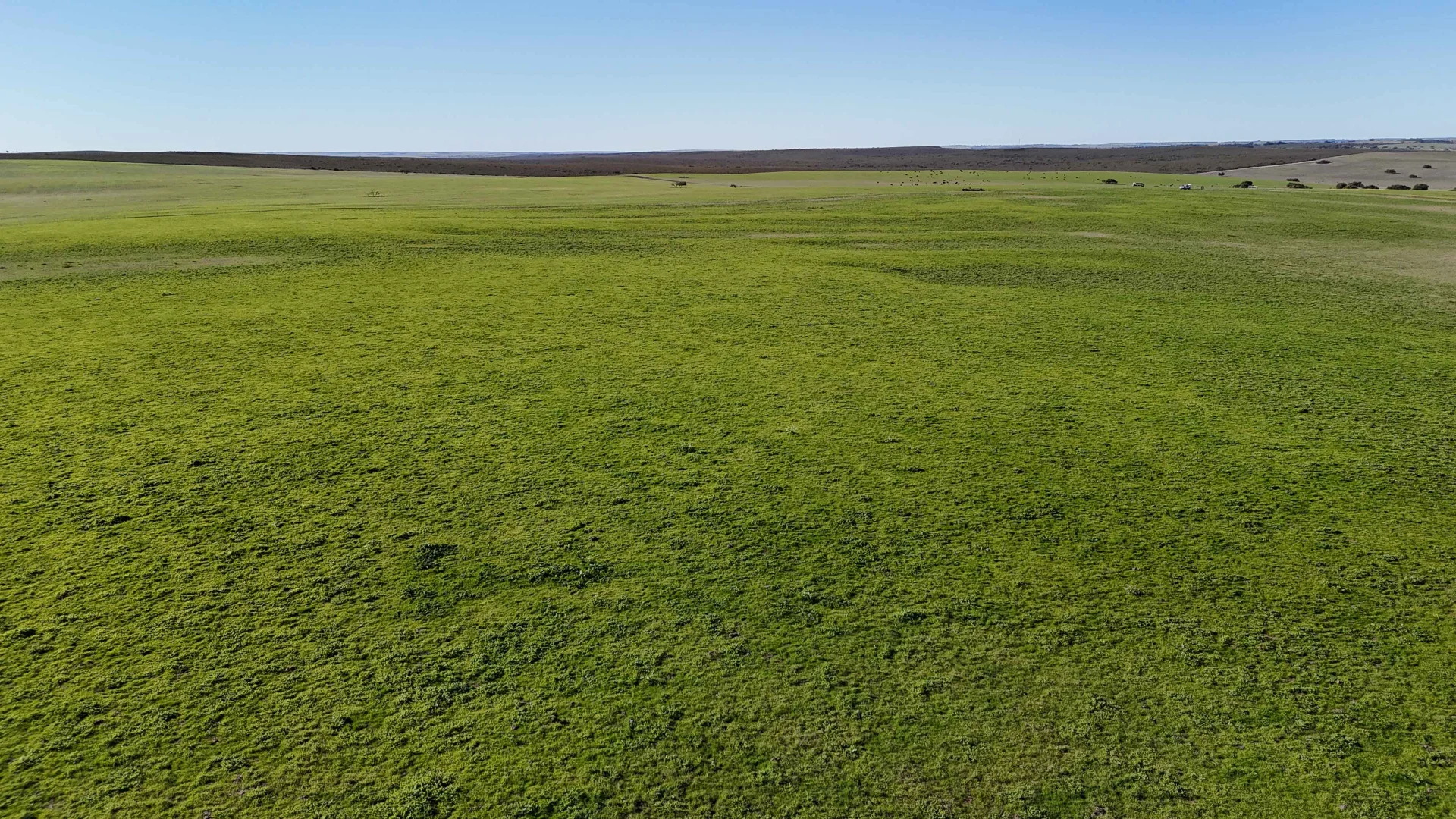 Additional image 4 of Badgingarra WA 6521