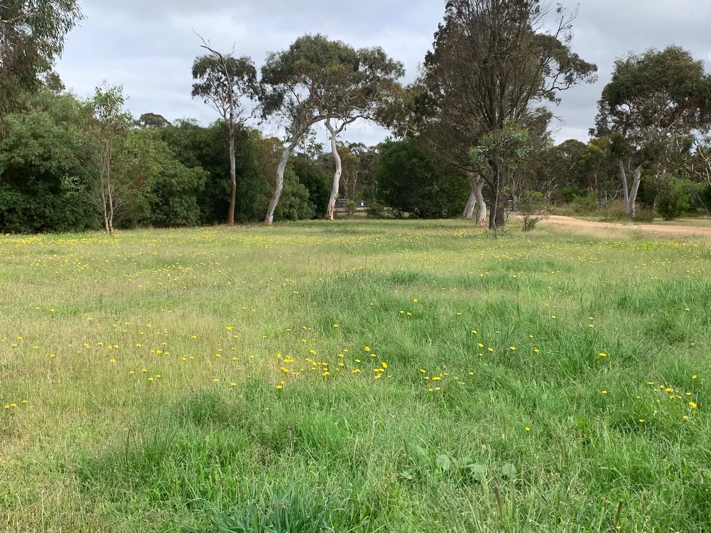 Additional image 4 of 385 Foxs Elbow Road, Braidwood NSW 2622