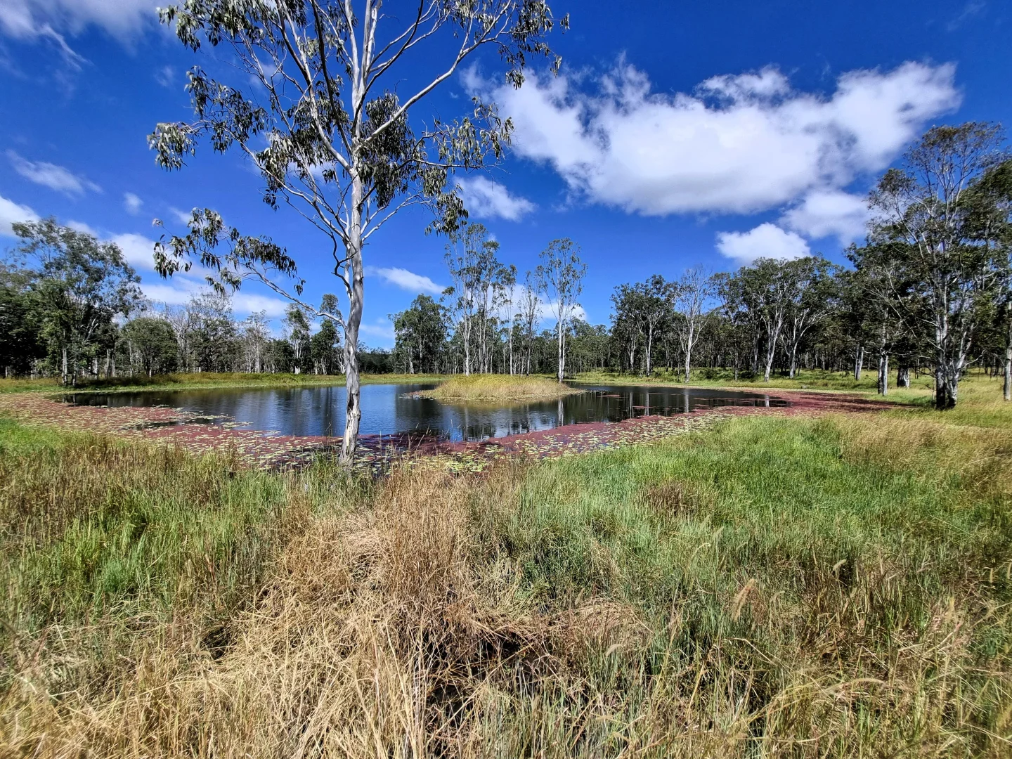 Additional image 17 of Wondecla QLD 4887