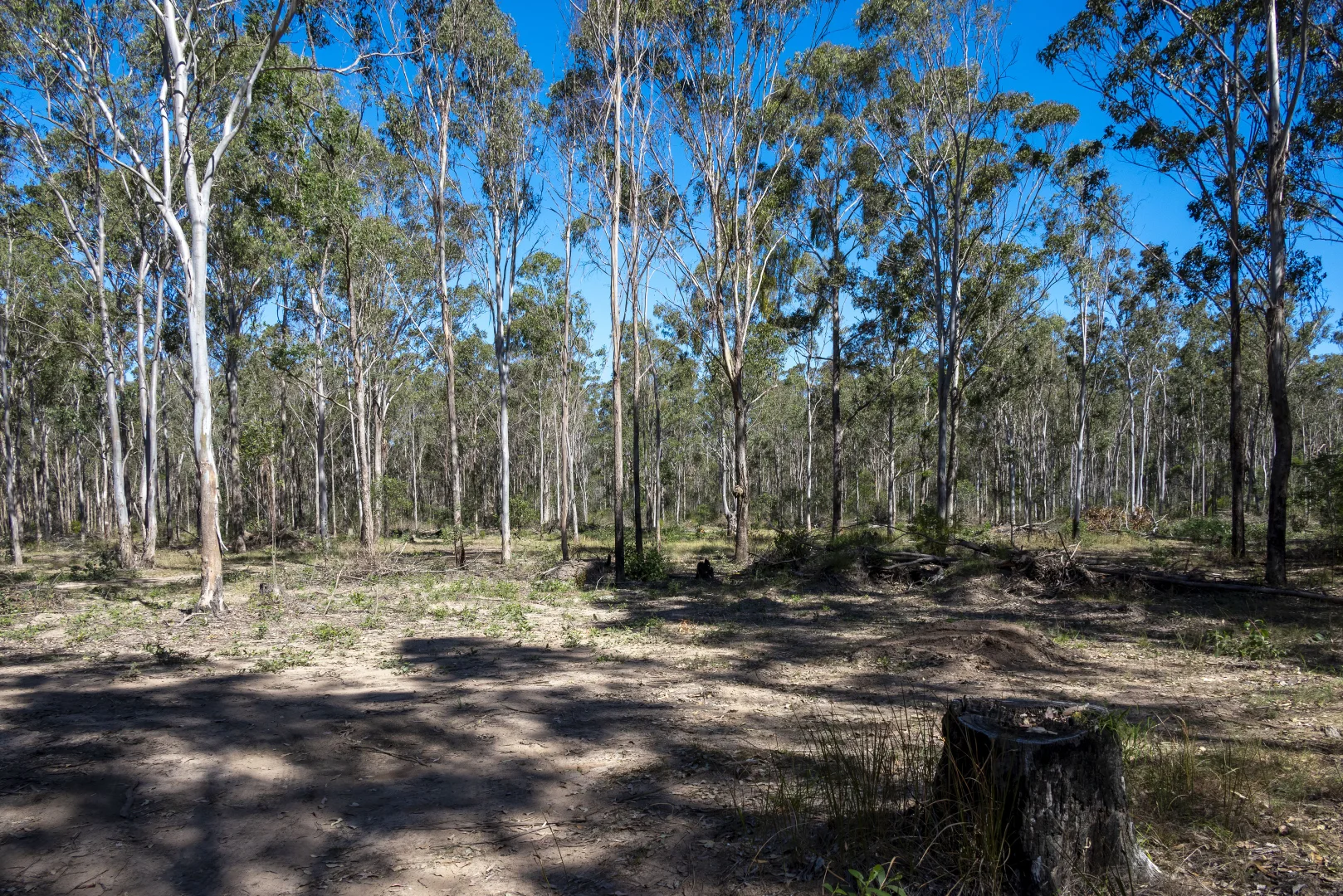 Additional image 25 of 151 Cameron Road, Taromeo QLD 4314