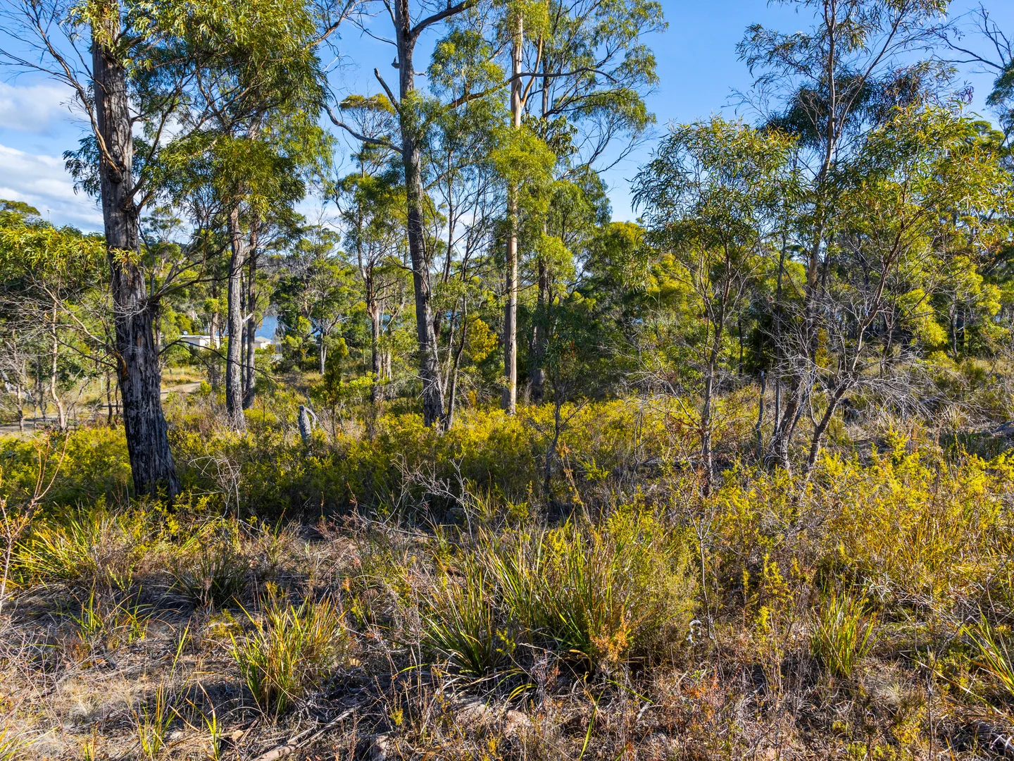 Additional image 18 of 4017 Arthur Highway, Murdunna TAS 7178