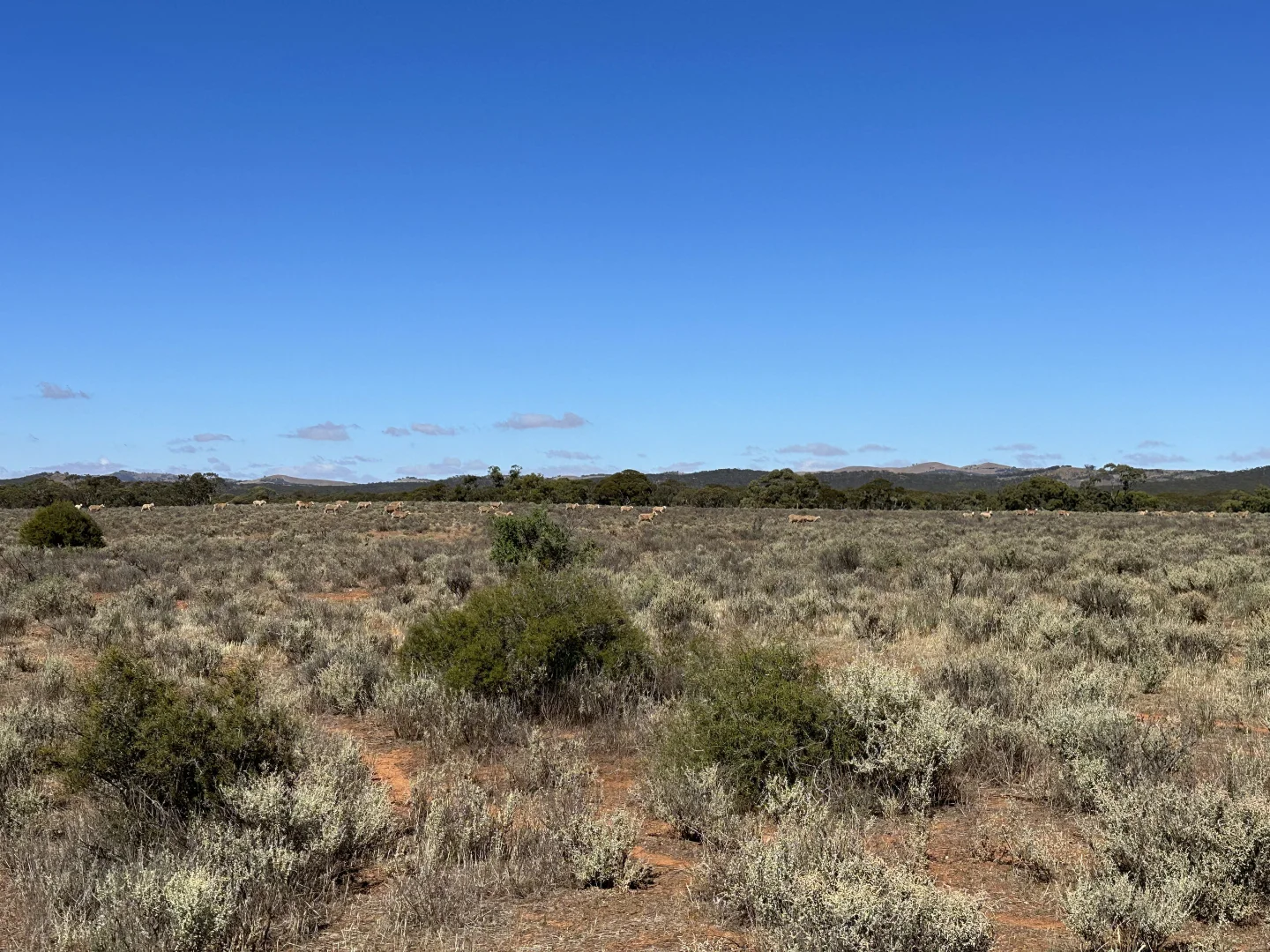 Additional image 3 of 'Markeys' Bri Glen Springs Road, Wonna SA 5419