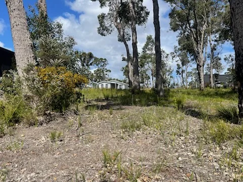 Additional image 5 of 78 Karri Street, Walpole WA 6398